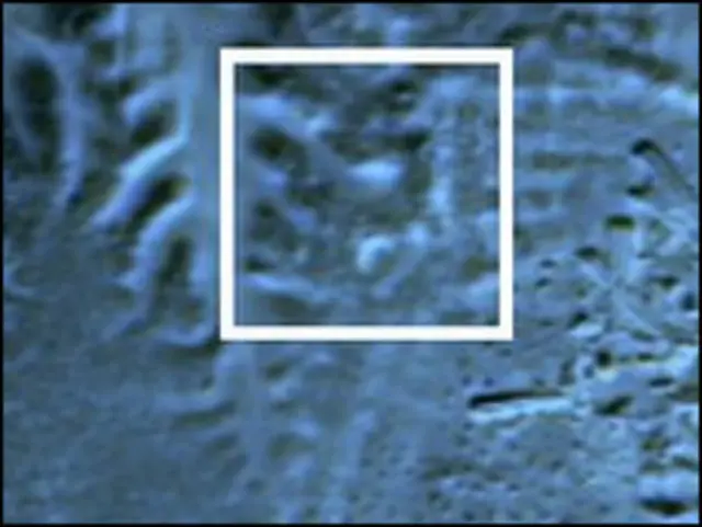 Một hình ảnh vệ tinh hồng ngoại cho ta thấy một kim tự tháp chôn dưới lòng đất