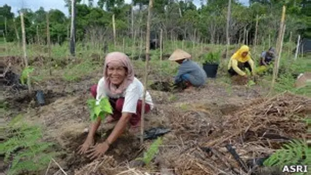 Upaya pernyadaran masyarakat agar tidak menebang hutan, membutuhkan waktu tidak sedikit.
