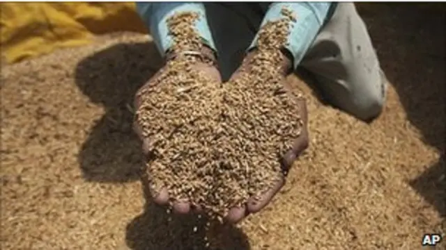 Un puñado de cereal