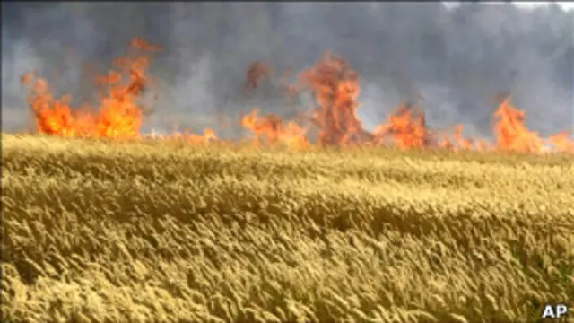 Trigan ruso consumido por incendio