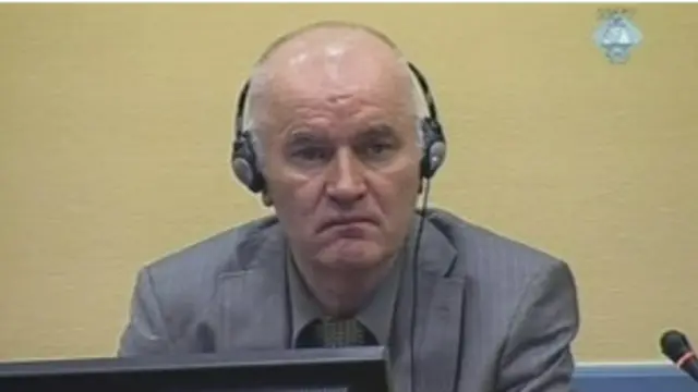 Младич в Гааге