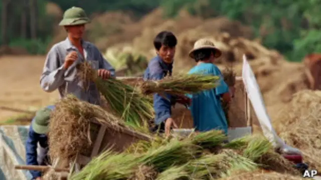 Kekhawatiran krisis pangan dunia disebutkan dalam Forum Ekonomi Dunia - Asia timur di Jakarta. 