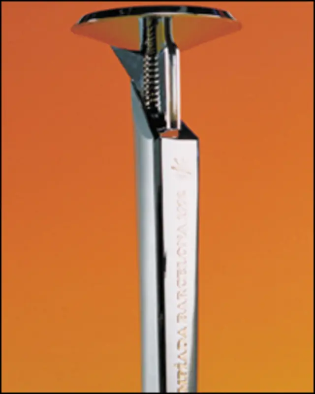 İspanya, 1992 Barcelona Olimpiyatları'nda tarihî bir başarı kazandı