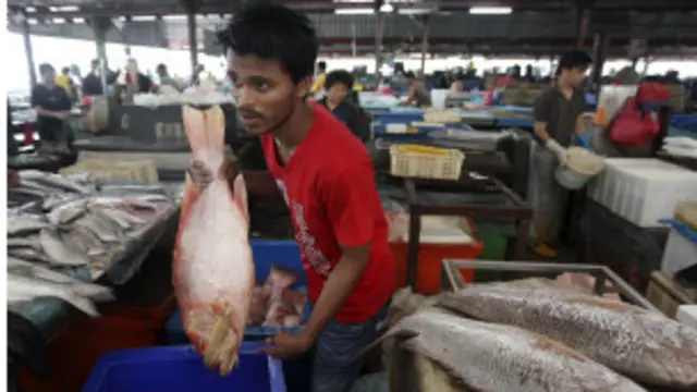 Ikan laut menjadi bahan penting dalam makanan sehari-hari banyak warga Malaysia