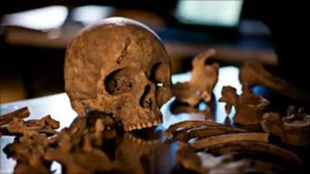 cráneo en Herculano