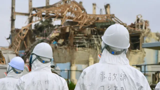Reaktor Fukushima, Jepang