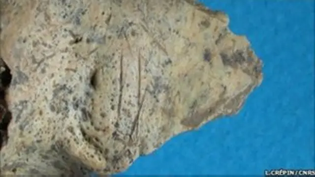 Останки первобытного человека