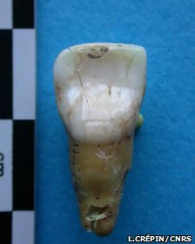 Останки первобытных людей