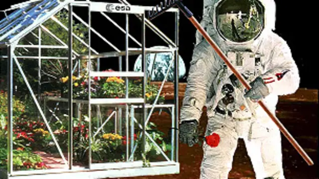 Astronauta en el espacio