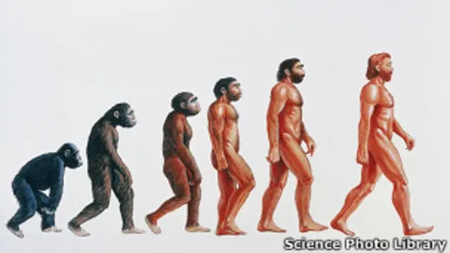 डार्विन का सिद्धांत