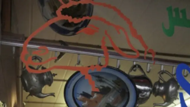 محلات جزارة في هولندا 