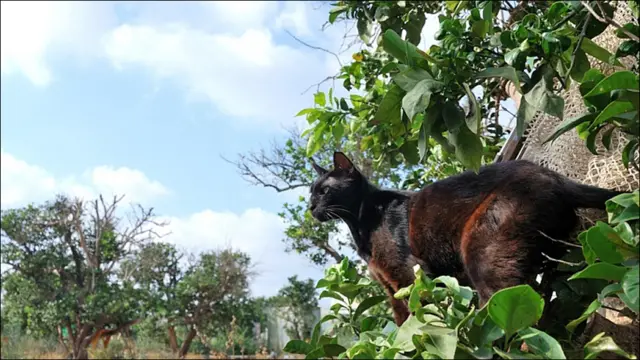 Фото Андрея Девейкина