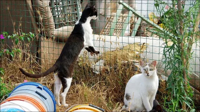 Фото Андрея Девейкина