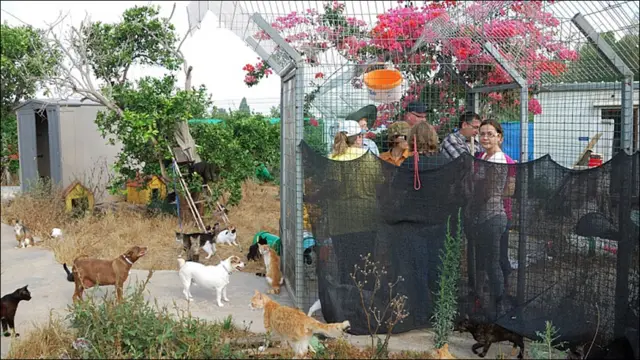 Фото Андрея Девейкина