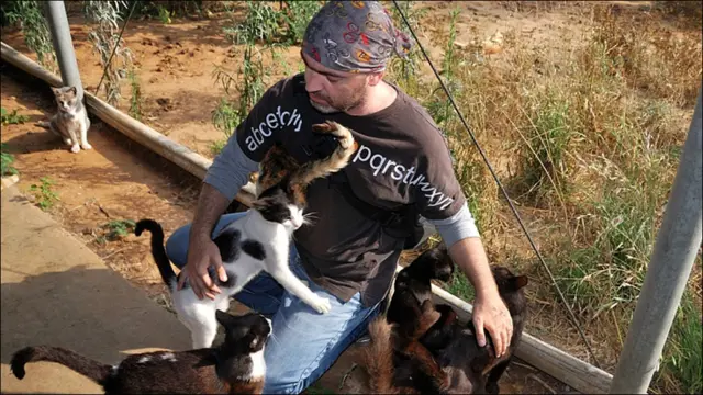 Фото Андрея Девейкина