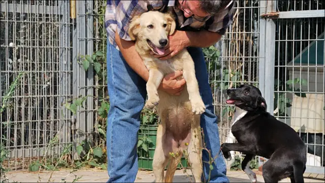 Фото Андрея Девейкина