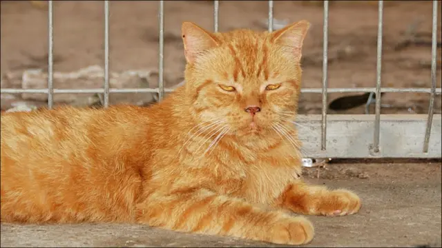 Фото Андрея Девейкина