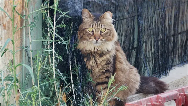 Фото Андрея Девейкина