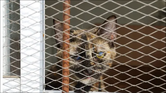 Фото Андрея Девейкина