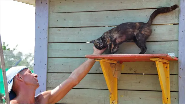 Фото Андрея Девейкина