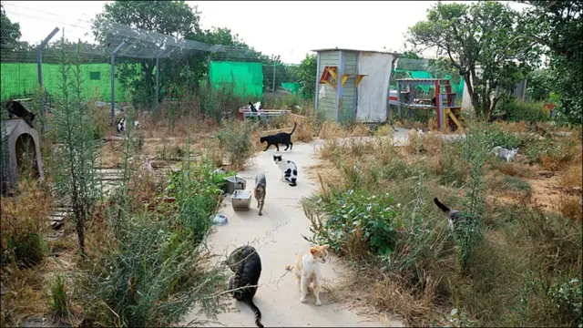 Фото Андрея Девейкина