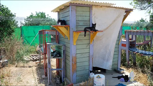 Фото Андрея Девейкина