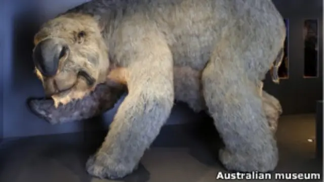 Животное из вида сумчатых diprotodon optatum