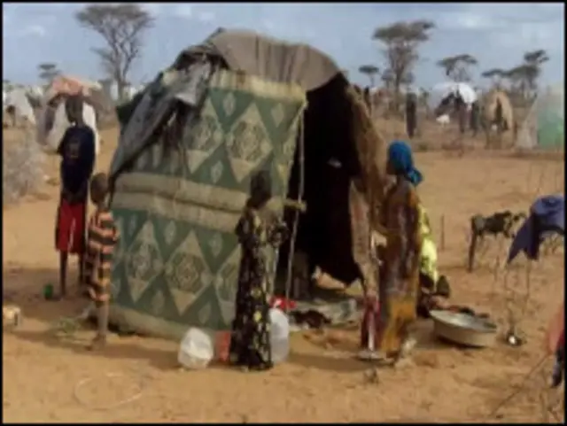 شمال مشرقی افریقہ کے چار ممالک میں قحط سے متاثرہ افراد کی تعداد ایک کروڑ کے قریب پہنچ گئی ہے