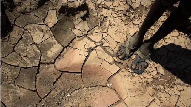 دو ہزار گیارہ سے تقریباً پندرہ ہزار صومالی باشندے ہر ماہ پناہ اور مناسب غذا کے حصول کے لیے کینیا اور ایتھوپیا جا رہے ہیں۔کینیا میں داداب میں مہاجرین کی پناہ گاہ میں تقریباً تین لاکھ ستر ہزار افراد پناہ لے چکے ہیں۔