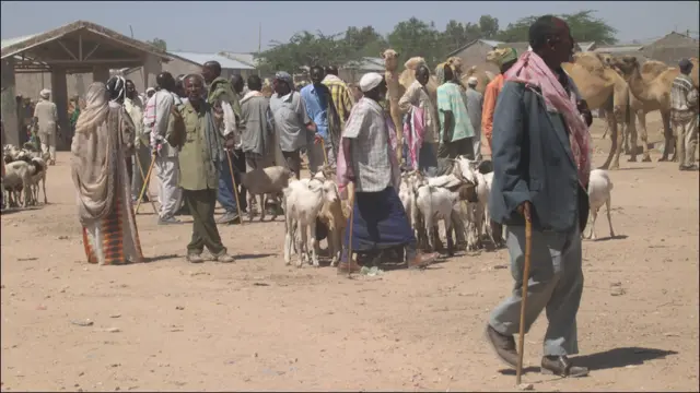 وہ کسان جو بنیادی خوراک کے اخراجات پورے نہیں کر پا رہے اپنے مویشی چھوڑ کر جا رہے ہیں جبکہ مہنگائی کی وجہ سے بیشتر تو پہلے ہی مویشی بیچ چکے ہیں۔
