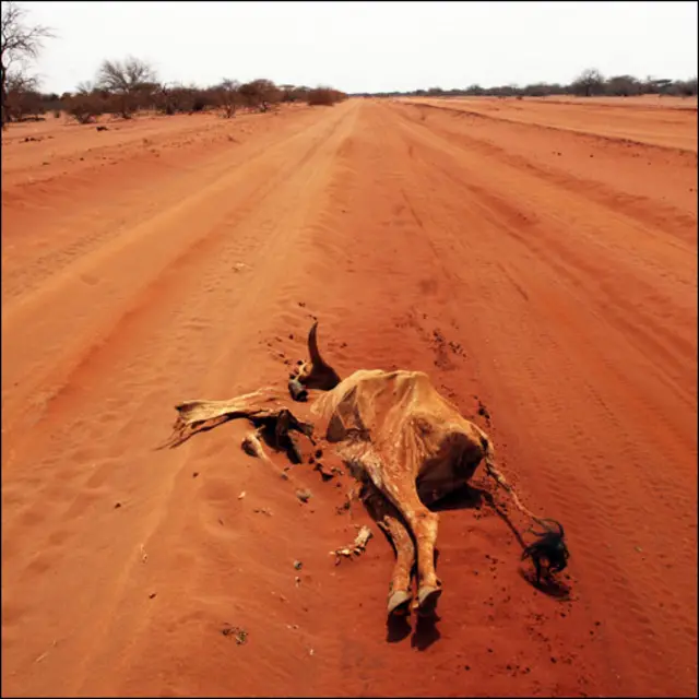ترقیاتی کاموں کے لیے ملنے والی امداد میں جنگلوں کا تحفظ، زمین کی پیداوار بڑھانے اور پانی کے ذخائر کو بہتر کرنے کی کوشش کی جائے گی۔ نئی سڑکوں کی تعمیر سے کسانوں کو منافع بڑھانے کا موقع ملے گا۔