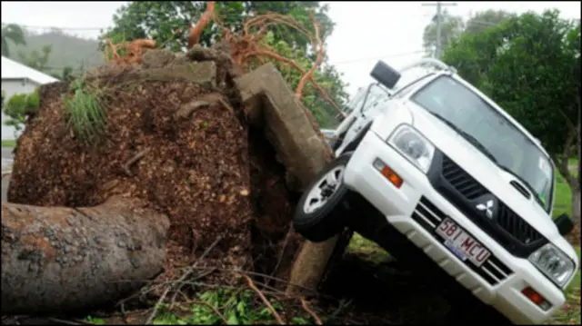 Xe bị lật vì cây đổ