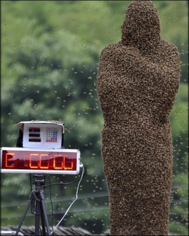 Бджолина мумія 