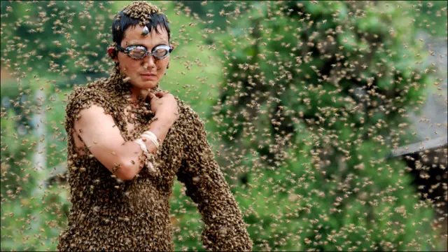 Змагання в розпалі