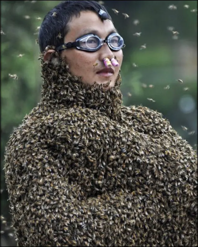 Один із двох бджолярів Вань Далін