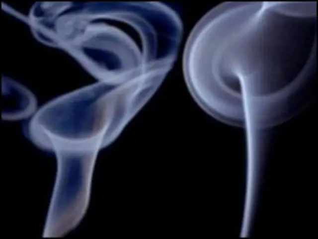 اس تحقیق کے مطابق تمباکو نوشی کی دیگر عادات کا ان نتائج سے کوئی تعلق نہیں ہے