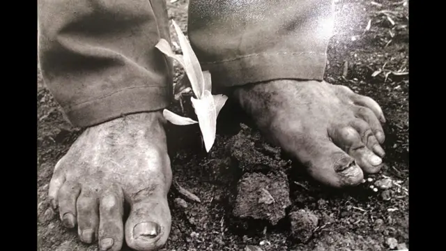 Foto correspondiente a la exposición “Desarraigos” 