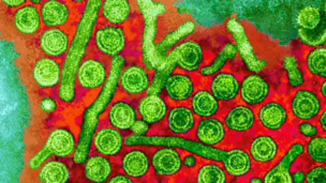 اس سال کے آخر تک یہ علاج برطانیہ میں دستیاب ہو گا۔ 