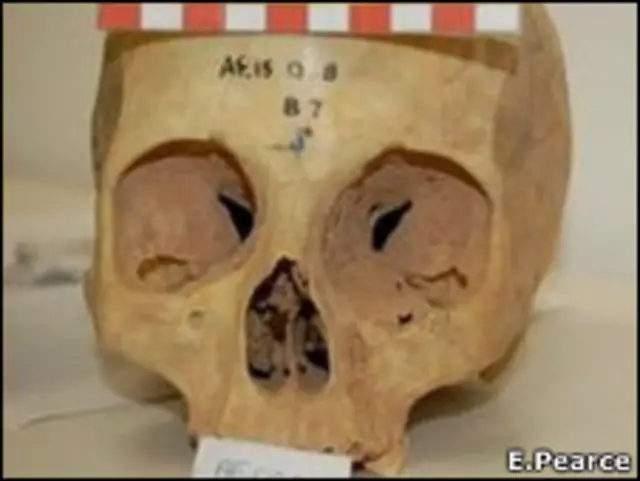 Череп і очниці більші в мешканців високих широт