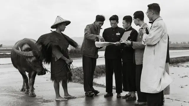 政府官员调查农地状况。