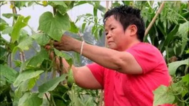 चीन में बड़ी संख्या में लोग गांवों से शहरों की ओर पलायन कर रहे हैं