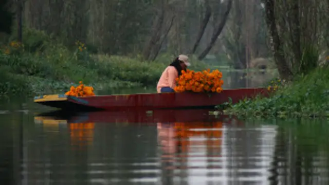 Jardines de Xochimilco