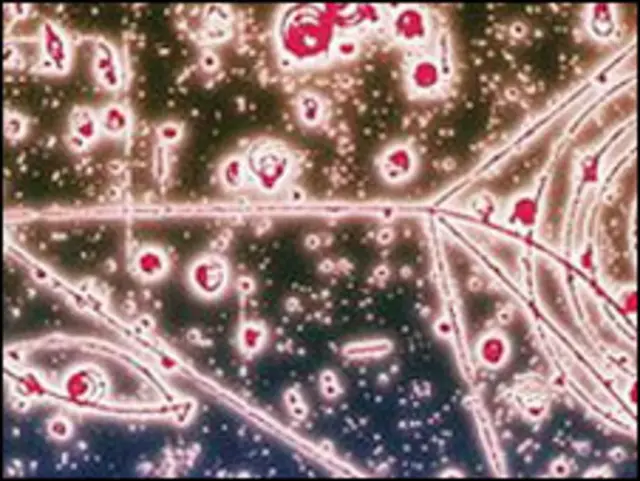 اینٹی پروٹونز امکان ہے کہ کائنات میں کہیں اور سے آئے ہیں