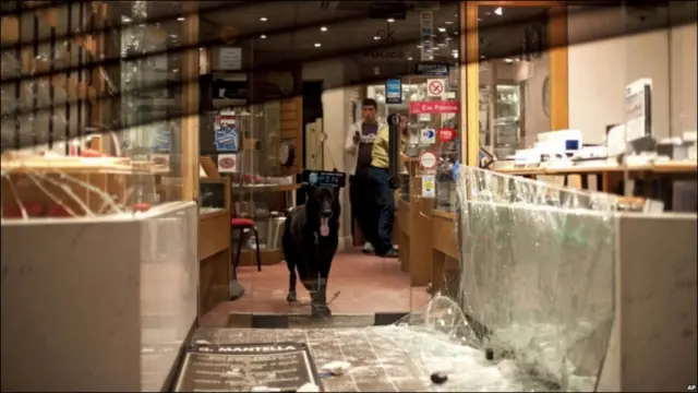 پولیس نے فسادیوں کو بھگانے کے لیے کتوں کا استعمال کیا۔ 