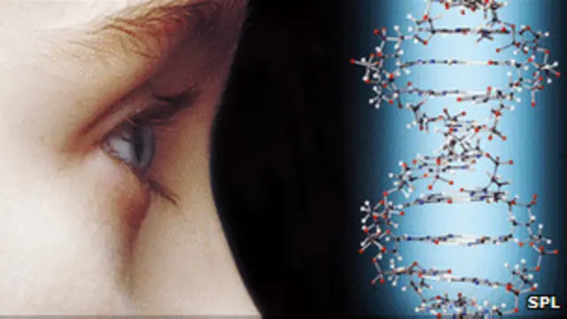 Глаз человека крупным планом