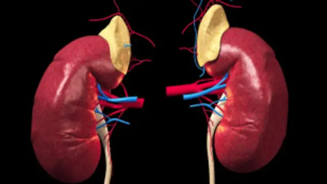 වකුගඩු රෝගීන් තිස් පන් දහසක් පමණ නිල වශයෙන් හඳුනා ගෙන ඇත