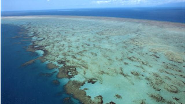Австралия, Большой Барьерный риф