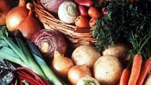 مسئولان امور کشاورزی در هرات می گویند، گسترش فارم های گلخانه ای دلیل اصلی تولید سبزیجات در هرات است