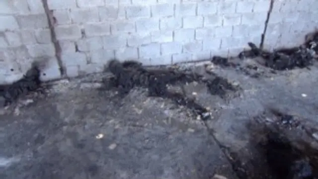 مجزرة في طرابلس