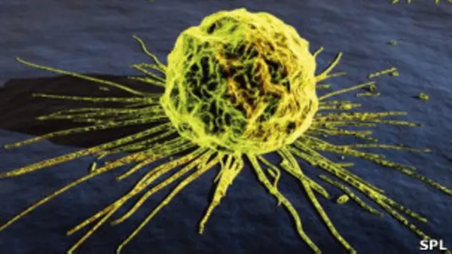 कैंसर कोशिकाएँ